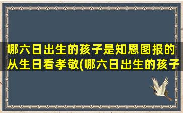 哪六日出生的孩子是知恩图报的 从生日看孝敬(哪六日出生的孩子知恩图报，以孝敬为中心的人生价值观)